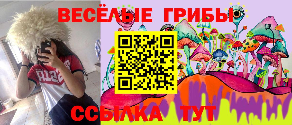 купить   Псилоцибиновые грибы Psilocybe  Вход с VPN  Каменск-Уральский 